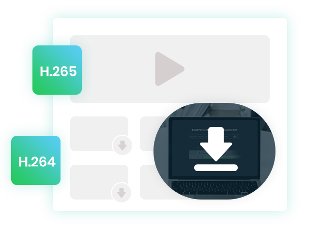 support h264/265 video codecs