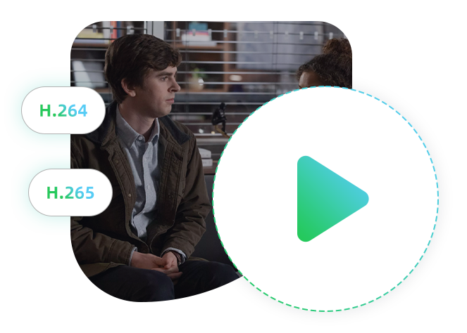 support H.264 and H.265