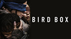 4k movie on netflix : bird box