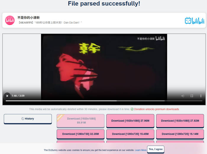 bilibili video downloader : dlbunny