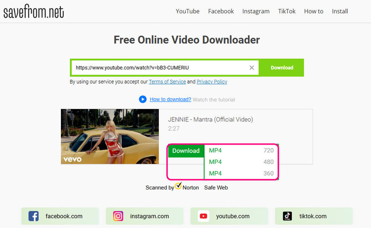 Savefrom.net MP4 Movie Download