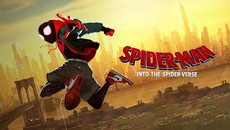 4k movie on netflix : spiderman into the spiderverse