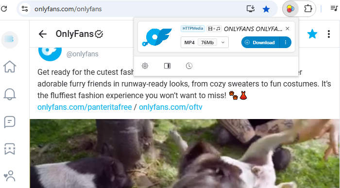 download onlyfans video with chrome extension