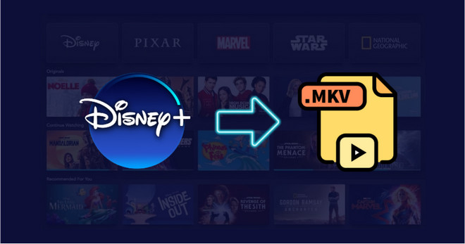 Download Disney Plus Video in MKV
