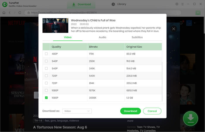 pick video quality, audio tracks, and subtitles