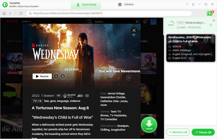 download netflix series on computer